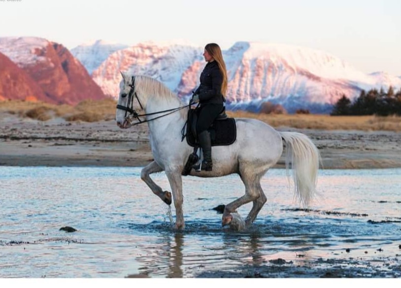 Ridetimer og hestebehandling med Monika A Havnes Volda/Moltu